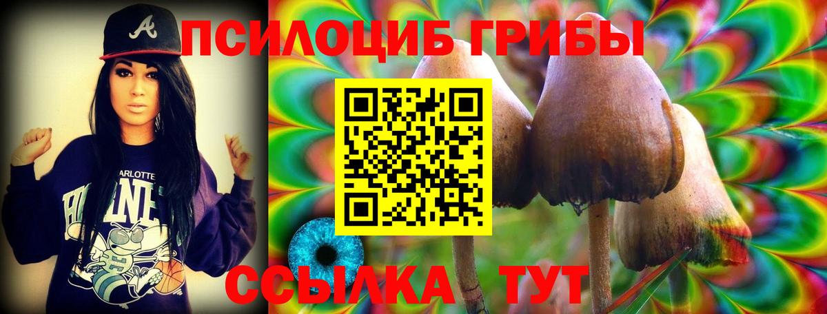 Псков  Псилоцибиновые грибы Magic Shrooms  Вход с VPN  Галлюциногенные грибы Magic Shrooms 